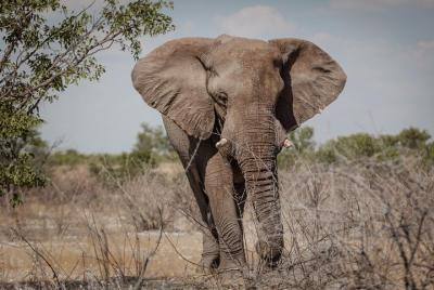 11 días en Namibia: impresionante recorrido en autoconducción