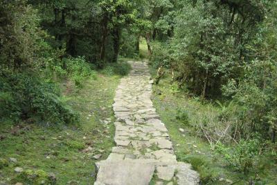 Senderismo fácil de 1 día para principiantes y familias con niños