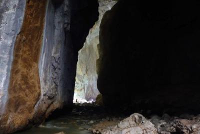 Excursión de senderismo a las montañas de Apuseni