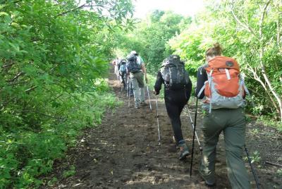 Caminata al volcán El Hoyo con dos cráteres, una fumarola y excel Caminata al volcán El Hoyo con dos cráteres, una fumarola y excel