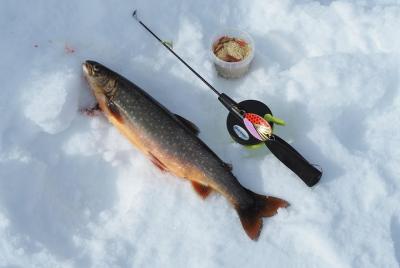 Raquetas de nieve y pesca en hielo en un lago fuera de Alta