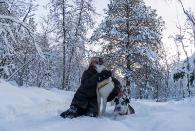 Una pequeña muestra de trineo de perros