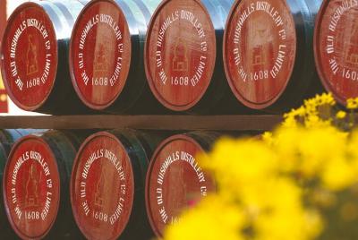 Giant's Causeway y Belfast City Murals Tour, juego de tronos Dark