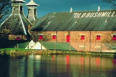 Visita guiada privada de la ruta costera de la Calzada