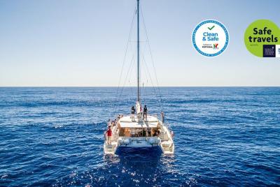 Avistamiento de delfines y ballenas en Madeira desde un lujoso ca