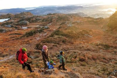 Tour de senderismo desde el monte Ulriken al monte Fløyen en Berg