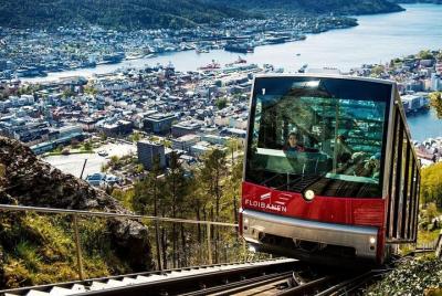Visita guiada 3 en uno de Bergen: crucero por el fiordo, visitas 