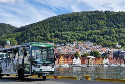Recorrido guiado por los secretos de Bergen para grupos pequeños