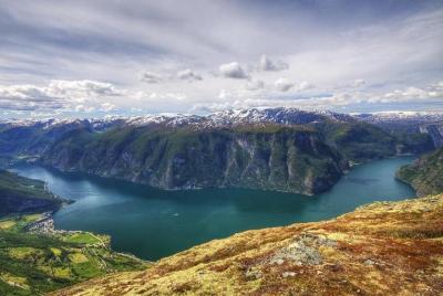 Excursión privada de un día completo desde Oslo a Bergen con Sogn Excursión privada de un día completo desde Oslo a Bergen con Sogn