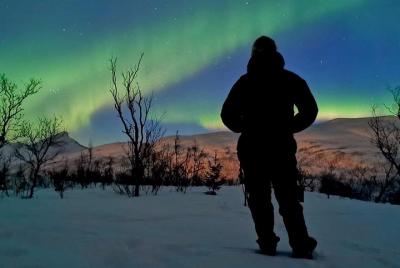 Tromso: Caza de la aurora boreal personalizada para grupos pequeñ
