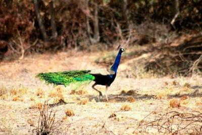Una excursión de un día a Village Life: experiencia digna