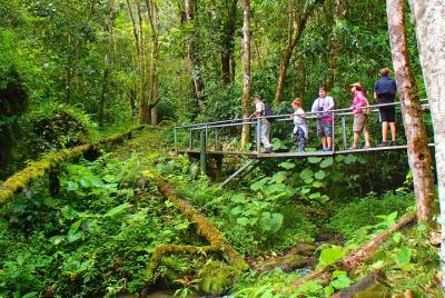 Caminata de vida salvaje en el bosque nuboso