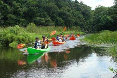 Excursión en barco en el Lago Gatún con paseo en kayak y almuerzo Excursión en barco en el Lago Gatún con paseo en kayak y almuerzo