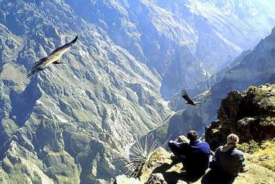 Tour Colca Full Day Precio Promocional