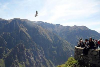 Cañon del Colca Full Day
