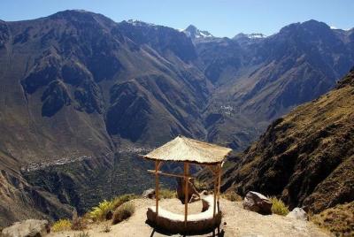 Colca Full Day