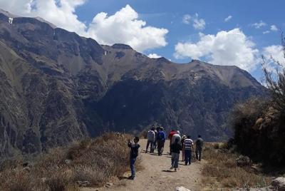 Colca Full Day
