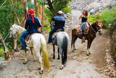 Paseo En Caballo por Arequipa - Hipódromo de Arequipa