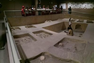 Excursión diaria a Túcume, bosque de Pómac y museo Sicán.