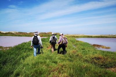 Avistamiento de naturaleza, caminatas por bosque o humedales