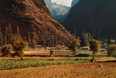Full day Valle Sagrado P'isaq y Ollantaytambo