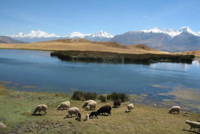 Excursión de día completo al lago Huilcaccoha en la Cordillera Ne