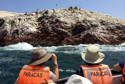 ¡PARACAS! Islas Ballestas + Reserva Nacional de Paracas + Candela