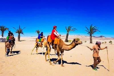 Experiencia de dromedarios en Ica