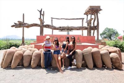 Tour de vino y pisco de 3 horas / Tacama y El Catador Tour de vino y pisco de 3 horas / Tacama y El Catador