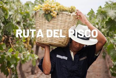 Ruta del pisco en Ica