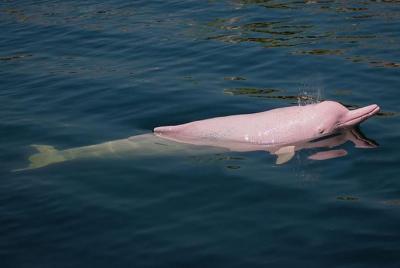 Aventura de 5 días en la selva amazónica en Maniti Eco-Lodge