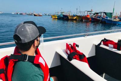 Recorrido de Día Completo a Paracas e Ica desde Lima