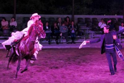 Cena Show y Exposición de Caballo Peruano incluyendo recogida y e