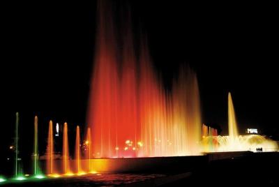 Lima de Noche y Cena con show de Caballos de Paso Peruano