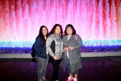 Espectáculo mágico de las fuentes y cena