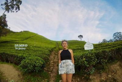  Viajero solo con caminantes de vacaciones Sri Lanka (recorrido r