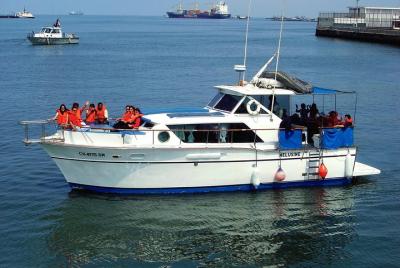 Recorrido en yate para nadar con leones marinos