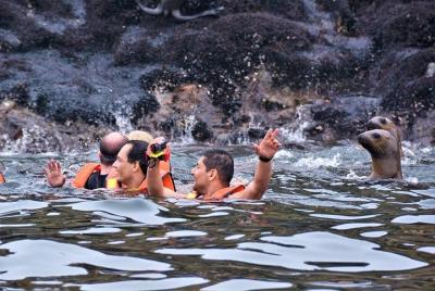 Lima Perú Lobos Marinos, Historia e Islas Palomino Callao