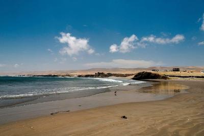 Excursión Privada Para Conocer La Belleza Del Océano Pacífico Des