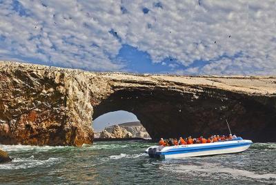 Excursión para grupos a las Islas Ballestas desde el puerto de Sa