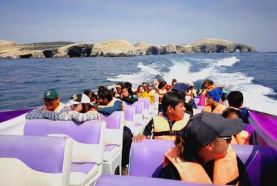 Paracas Fullday - Islas Ballestas y Nationalpark en Minibuggy