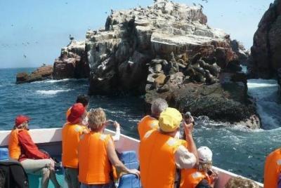 Paracas Full Day (Islas Ballestas)