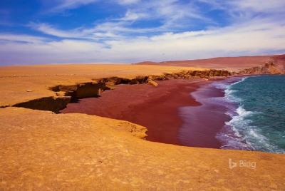 Islas Ballestas y Reserva Nacional de Paracas desde el puerto San