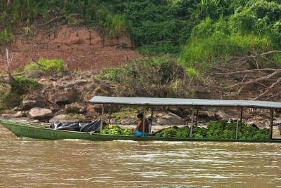 Reserva Nacional Tambopata: selva y aventura 4 días