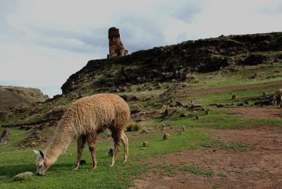 Tour Sillustani 1/2 Día 