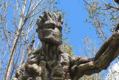 Parque ecológico de Baby Groot y Ents Parque ecológico de Baby Groot y Ents