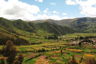 Traslado de ida desde los hoteles del Valle Sagrado a la estación de tren de Ollantaytambo Traslado de ida desde los hoteles del Valle Sagrado a la estación de tren de Ollantaytambo