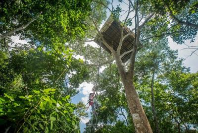 Trepar a los árboles extremos