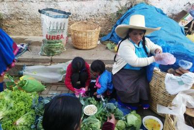 Tour 7 Dias Norte De Peru