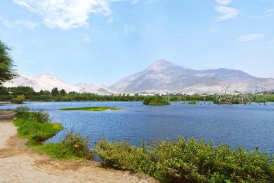 Sandboard en el lago Conache y Espectáculo del Caballo Peruano de